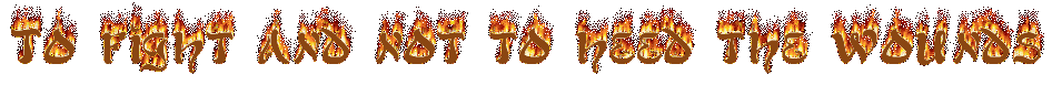 toffight.gif